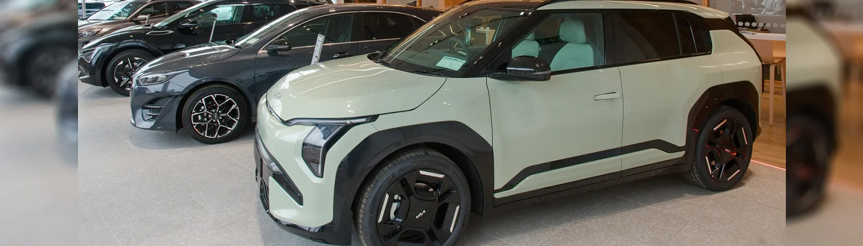 David Buggy Motors Dealership